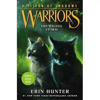 Warriors, a vision of shadows: The raging storm /