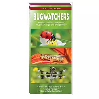 Bugwatchers: Pocket Guides to Beetles, Bugs & Slugs and Dragonflies