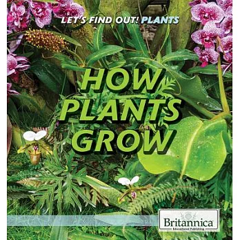 How plants grow /