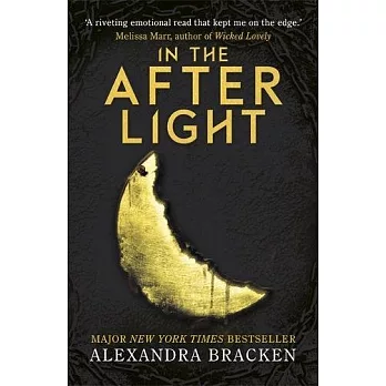 In the Afterlight: Book 3