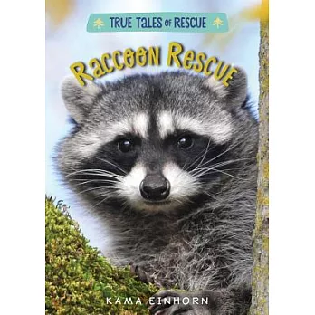 Raccoon Rescue