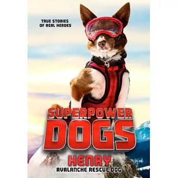 Superpower dogs : Henry /