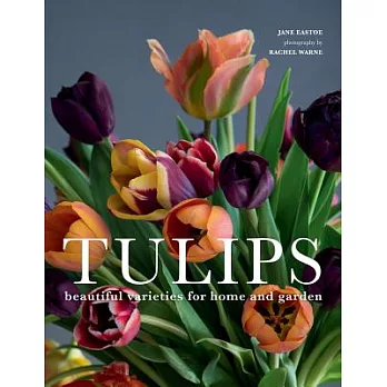 Tulips: Beautiful Varieties for Home and Garden