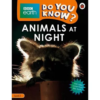 Animals at Night /