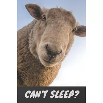 Can’’t Sleep?: Fun lined journal for the sleep deprived