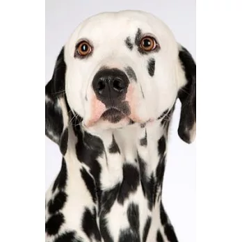 Notebook: Dog Dalmation Puppies Spots Black White