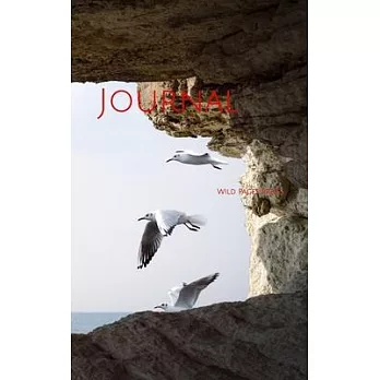 Journal: cave rock sea seagulls birds sunset