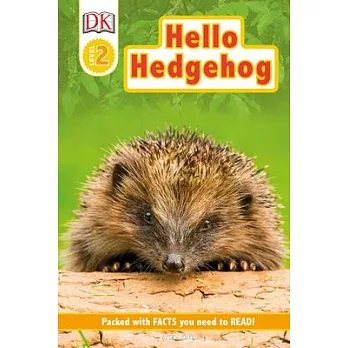 Hello, hedgehog /