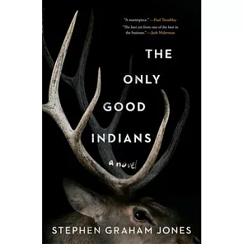 The only good Indians : a novel /