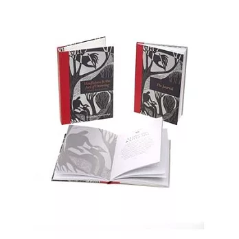 Mindfulness & the Art of Drawing Pack: Book and Journal