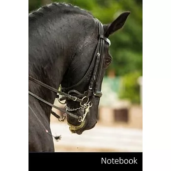 Notebook: アクセサリーに乗って馬場馬術ӟ