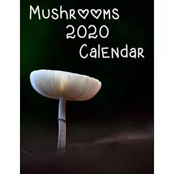 Mushrooms 2020 Calendar