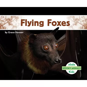 Flying foxes /