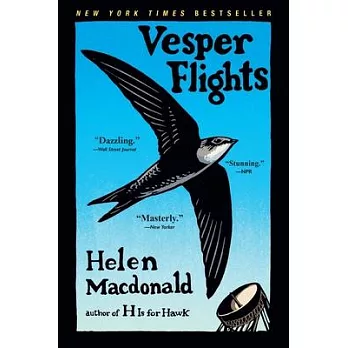 Vesper Flights