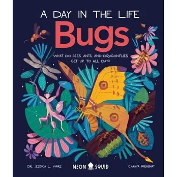 Bugs (a Day in the Life): What Do Bees, Ants, and Dragonflies Get Up to All Day?