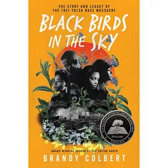 Black birds in the sky : the story and legacy of the 1921 Tulsa Race Massacre