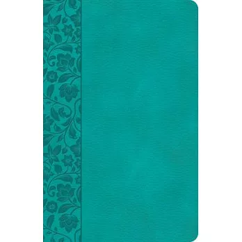 CSB Large Print Personal Size Reference Bible, Teal Leathertouch, Indexed