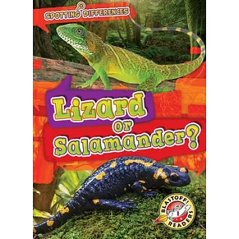 Lizard or Salamander?