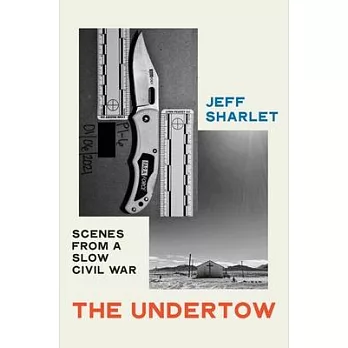 The Undertow: Scenes from a Slow Civil War