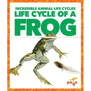 Life cycle of a frog