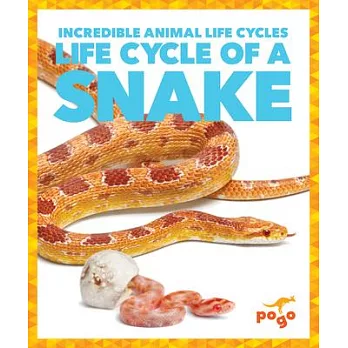 Life cycle of a snake
