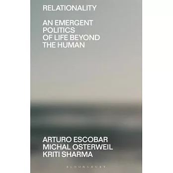 Relationality  : an ...
