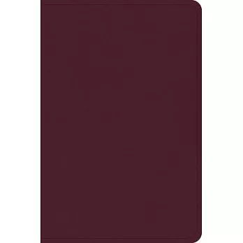 CSB Large Print Compact Reference Bible, Cranberry Leathertouch