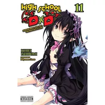 High School DXD, Vol. 11 (Light Novel)