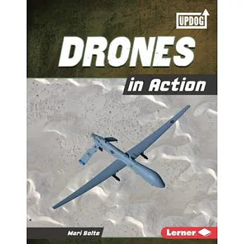 Drones in Action