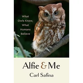 Alfie and Me: What Owls Know, What Humans Believe