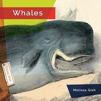 Whales