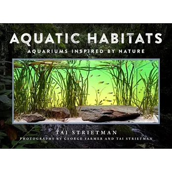 Aquatic Habitats: Aquariums Inspired by Nature