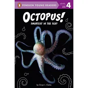 Octopus!  : smartest in the sea?