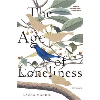 The Age of Loneliness: Essays