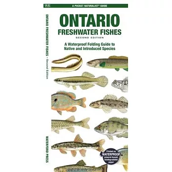 Ontario Fishes: A Folding Pocket Guide to All Known Native and Introduced Freshwater Species