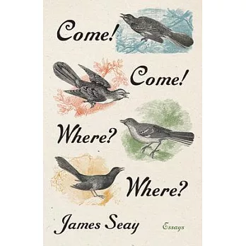 Come! Come! Where? Where?: Essays