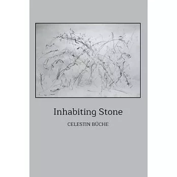 Inhabiting Stone