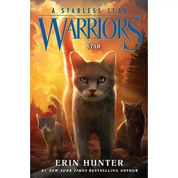 Warriors, a starless clan: Thunder
