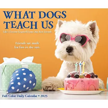 What Dogs Teach Us 2025 6.2 X 5.4 Box Calendar