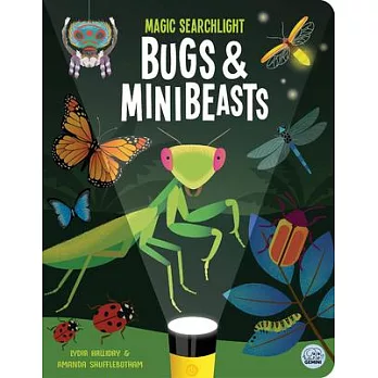 Magic Searchlight-Bugs & Minibeasts