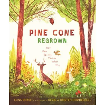 Pine Cone Regrown: How One Species Thrives After Fire