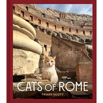 Cats of Rome