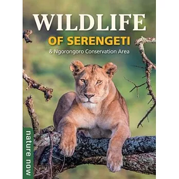 Wildlife of Serengeti & Ngorongoro Conservation Area