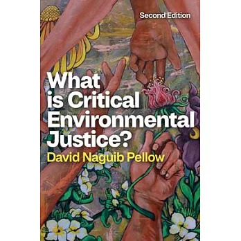 What is critical environmental justice? /