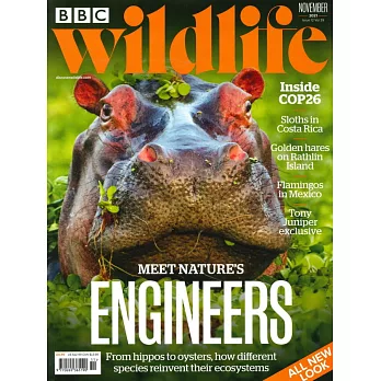 BBC Wildlife 11月號/2021