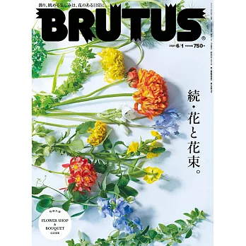 BRUTUS 6月1日/2021