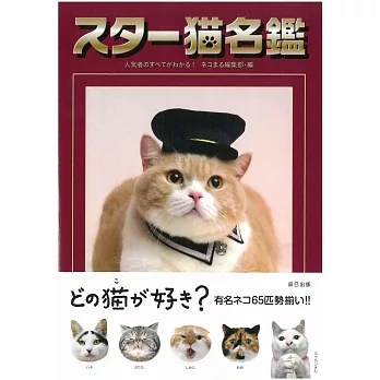 日本人氣明星貓咪可愛寫真名鑑手冊