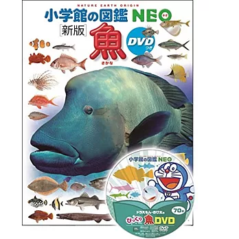 DVD付 新版 魚 (小学館の図鑑 NEO)