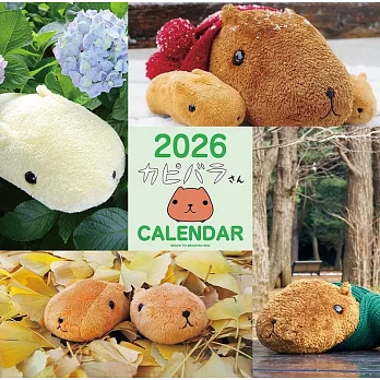 水豚君2026年掛曆