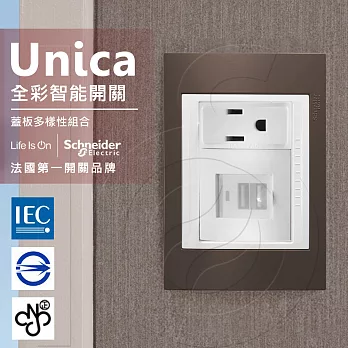 法國Schneider Unica Plus雙USB插座/單插座_香檳灰/可可亞(ABS外框)可可亞
